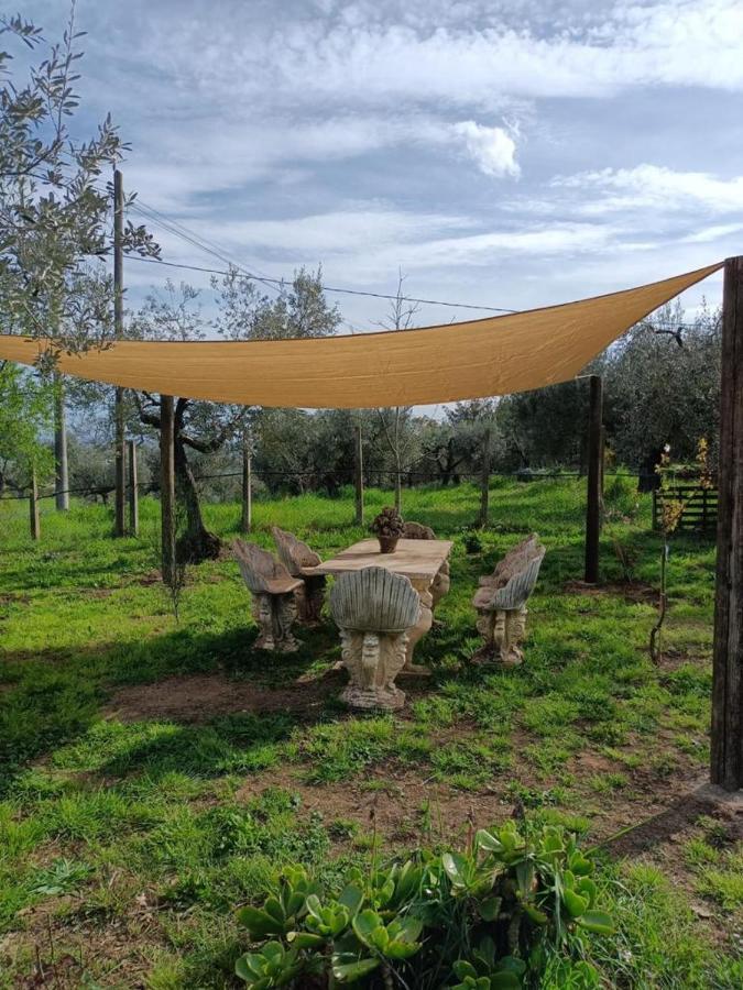 Ferienwohnung Colle Perazzoni Fiano Romano Exterior foto