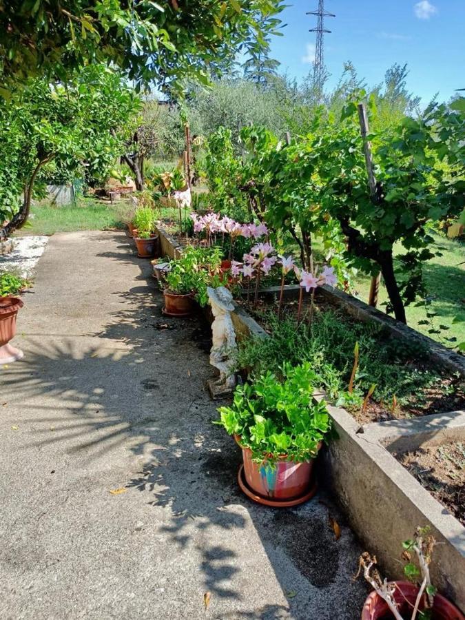 Ferienwohnung Colle Perazzoni Fiano Romano Exterior foto