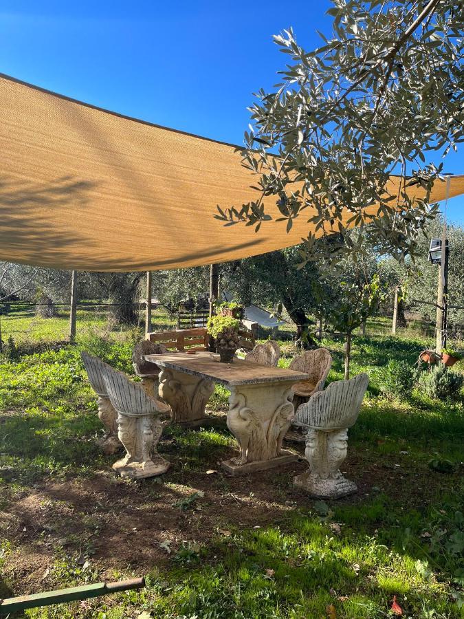 Ferienwohnung Colle Perazzoni Fiano Romano Exterior foto