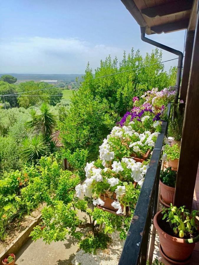 Ferienwohnung Colle Perazzoni Fiano Romano Exterior foto