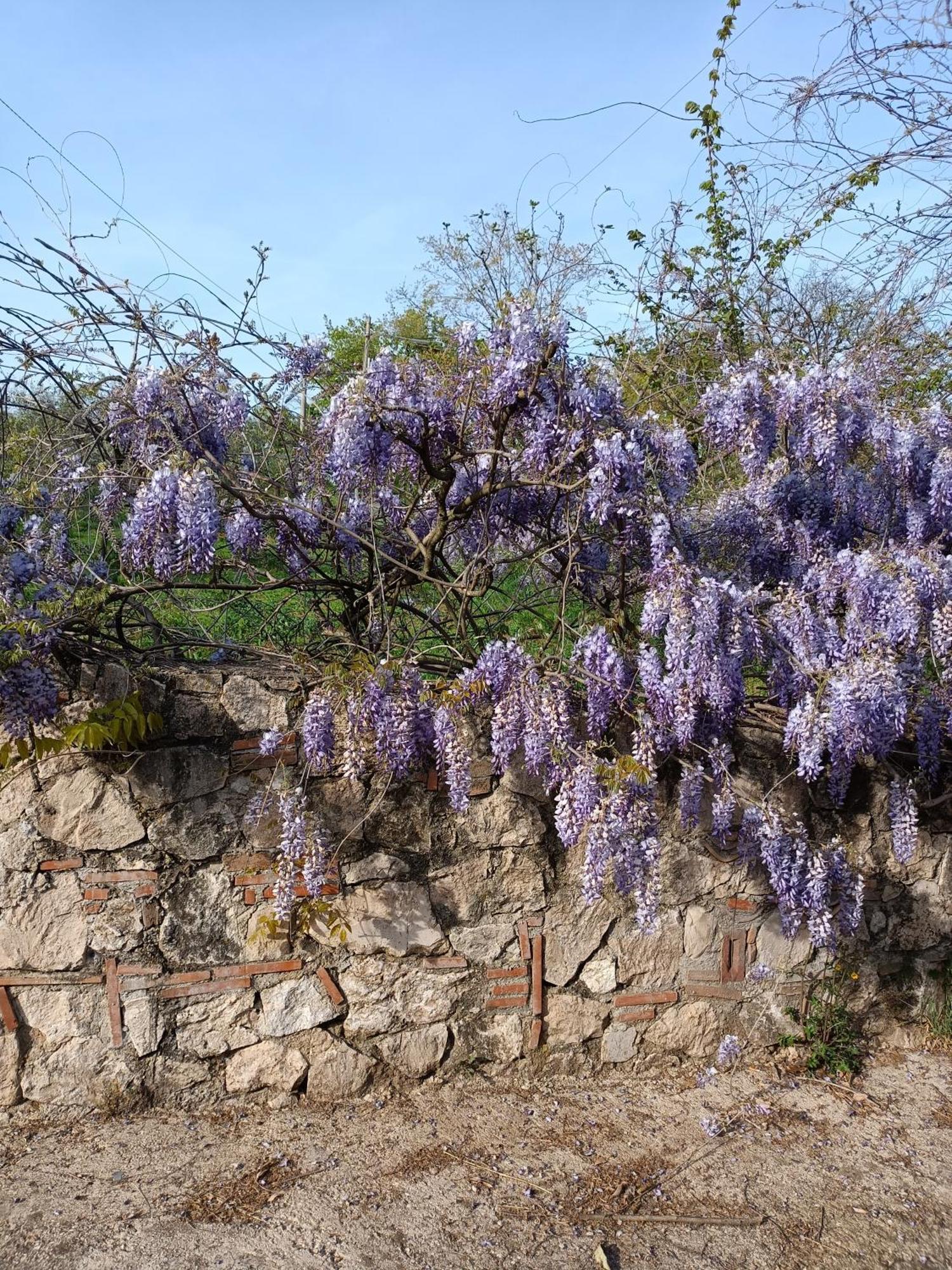 Ferienwohnung Colle Perazzoni Fiano Romano Exterior foto