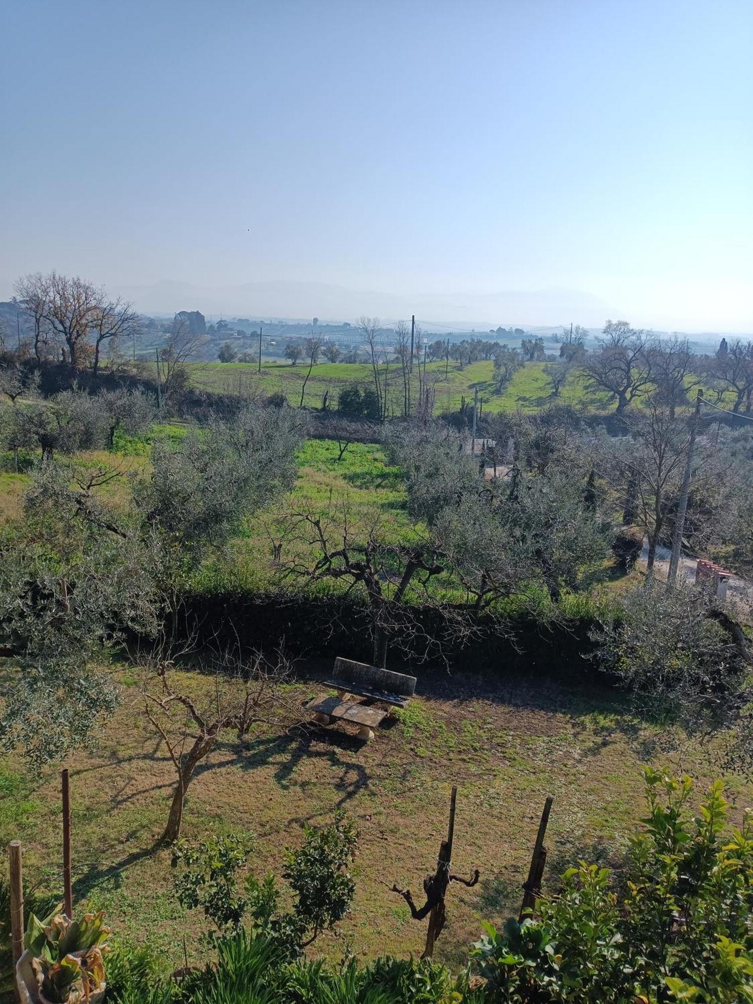 Ferienwohnung Colle Perazzoni Fiano Romano Exterior foto