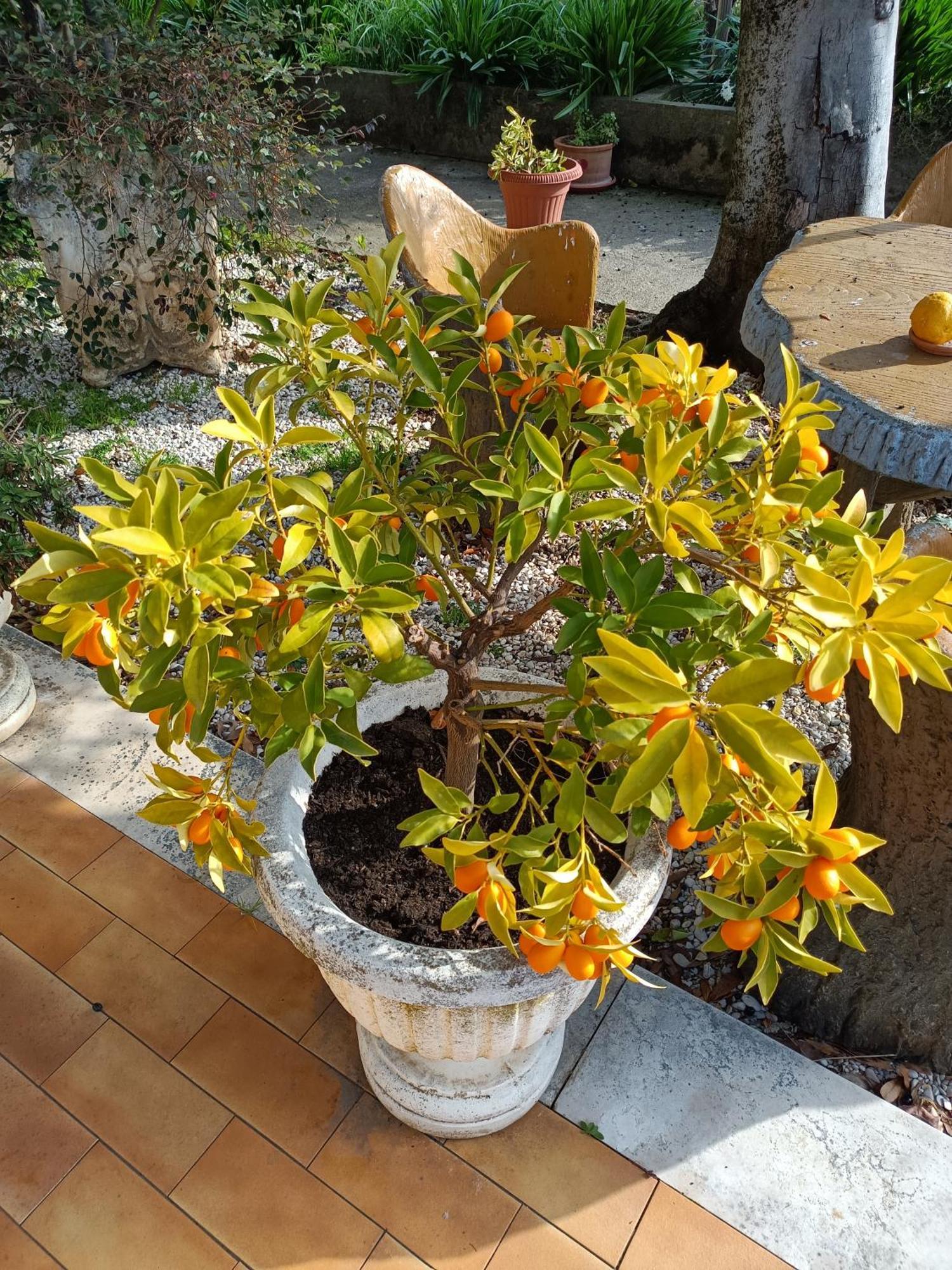 Ferienwohnung Colle Perazzoni Fiano Romano Exterior foto