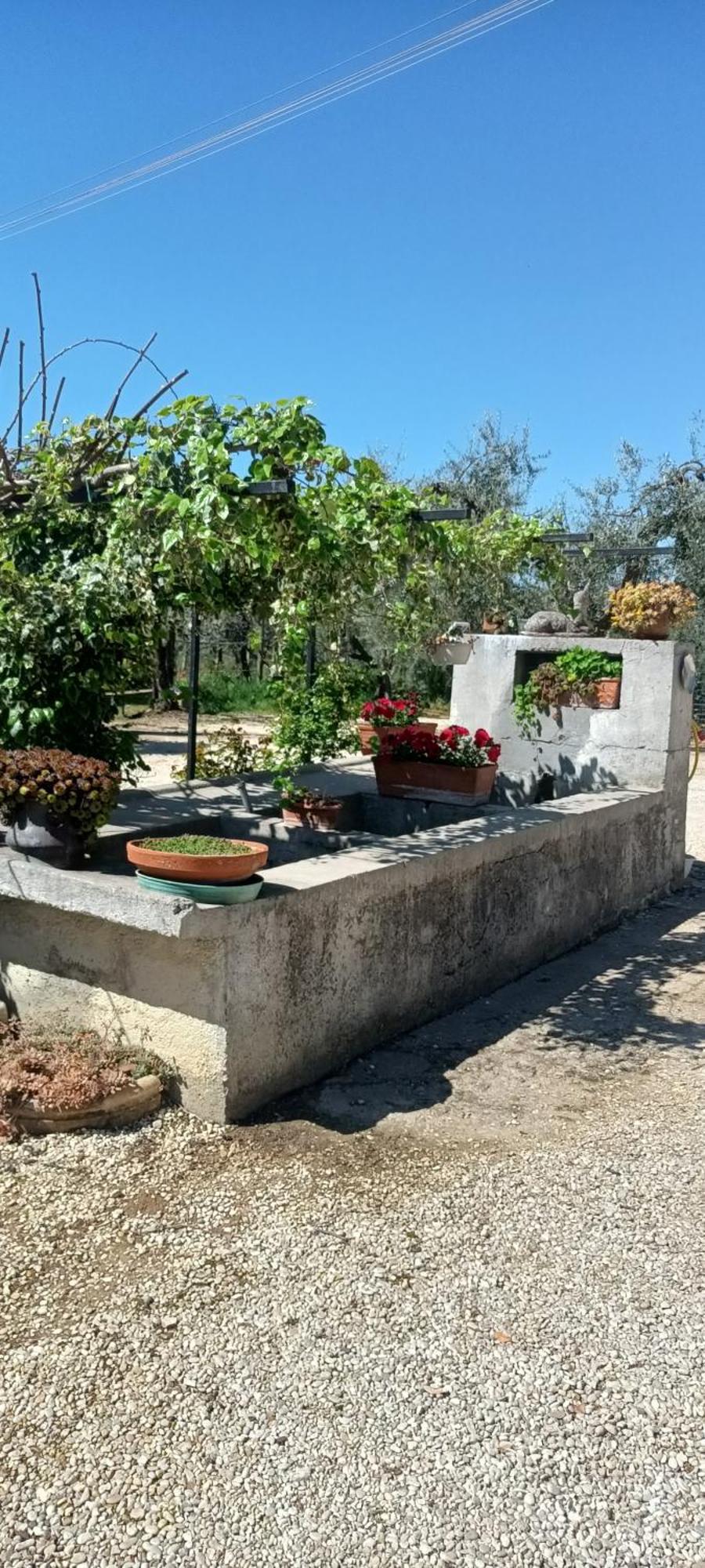 Ferienwohnung Colle Perazzoni Fiano Romano Exterior foto