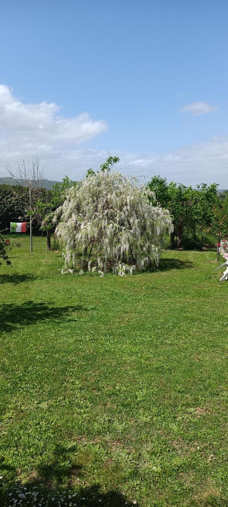 Ferienwohnung Colle Perazzoni Fiano Romano Exterior foto