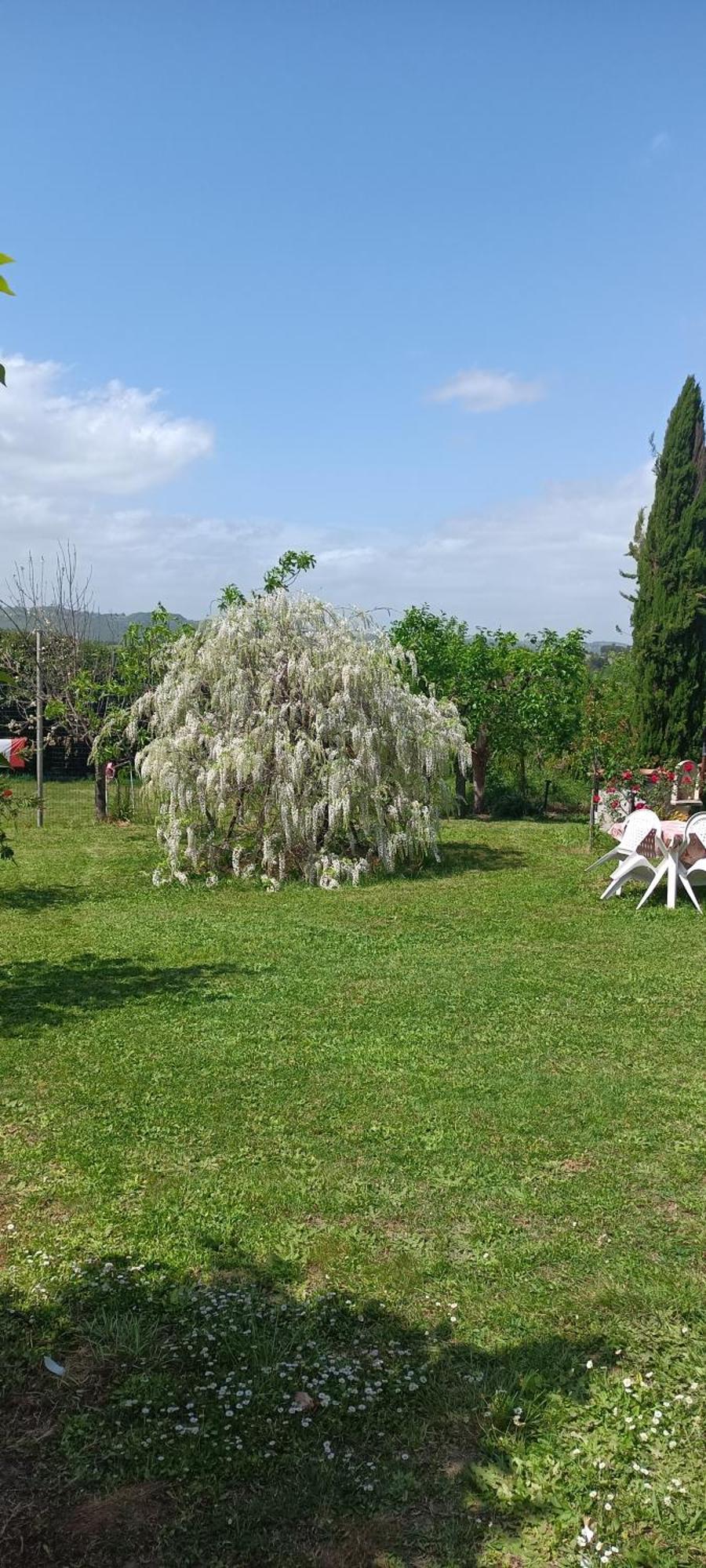 Ferienwohnung Colle Perazzoni Fiano Romano Exterior foto